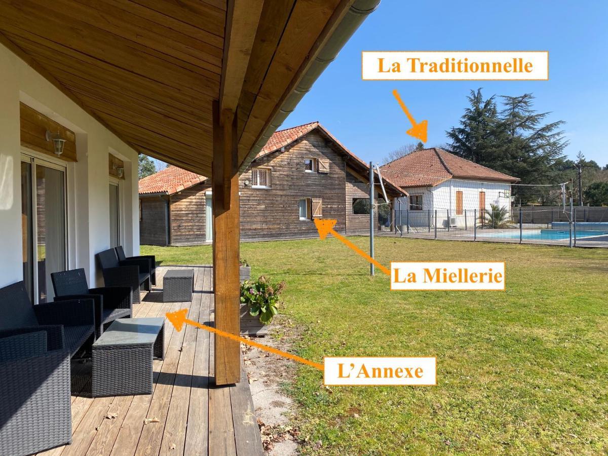 Ensemble De 3 Villas Avec Piscine Chauffee, Esprit Detente Sanguinet Bagian luar foto